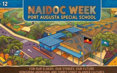 Term 2 – Newsletter 3